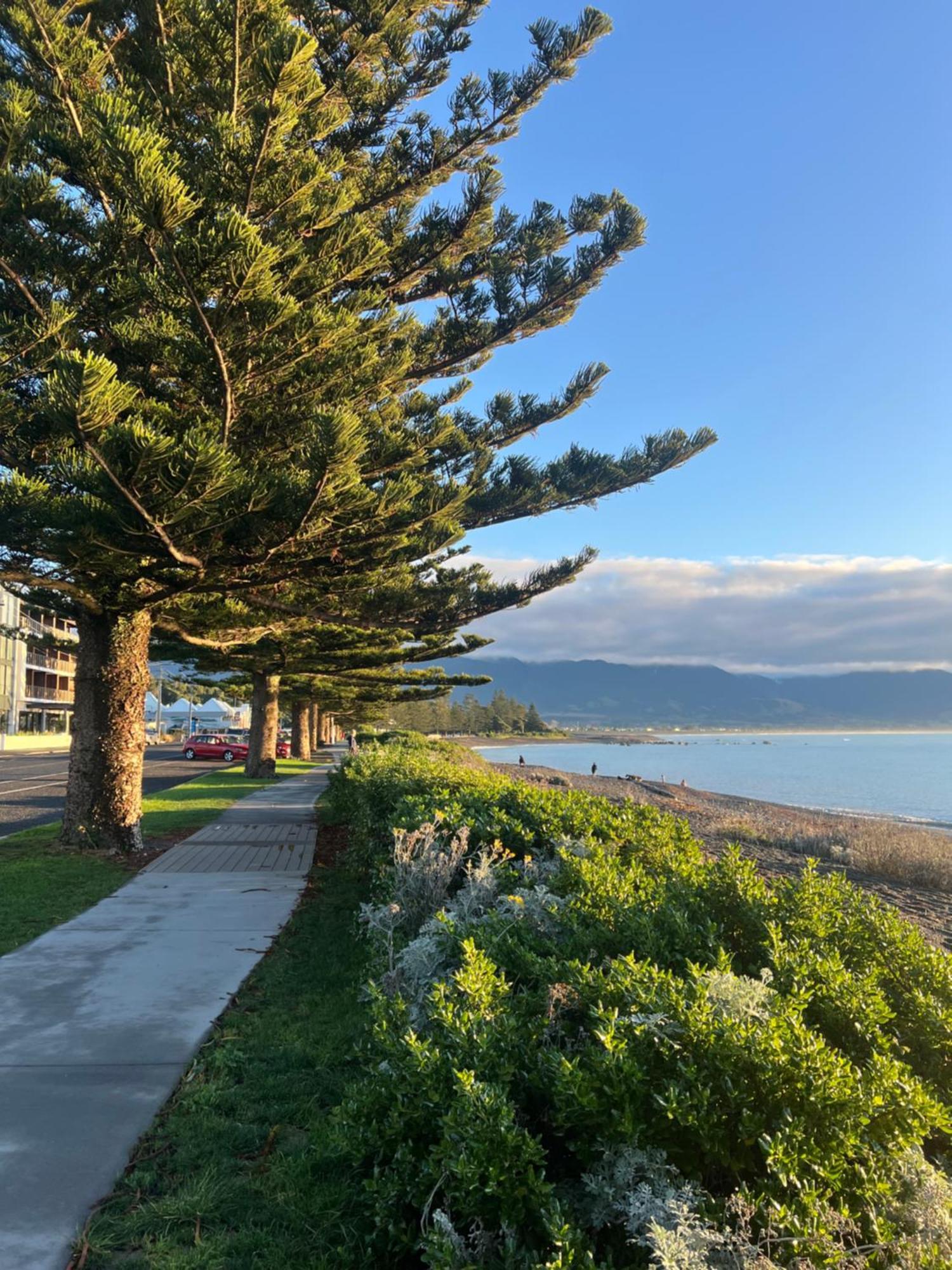 Motel Kaikoura Beach Motel Kaikoura